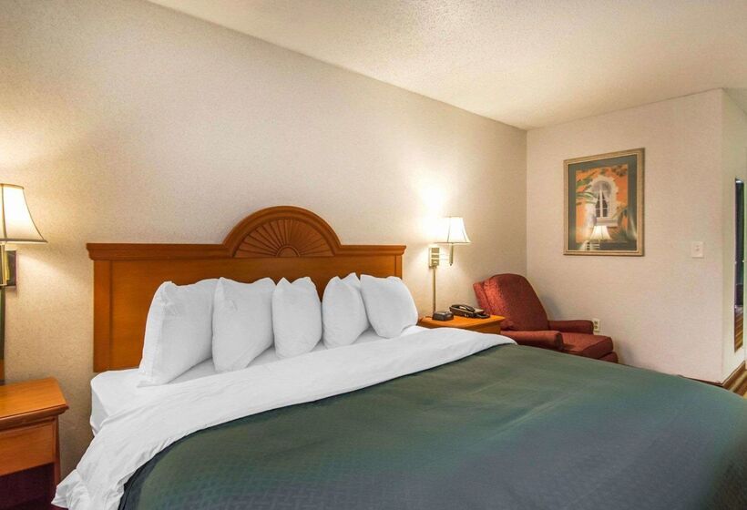 酒店 Quality Inn & Suites At Tropicana Field