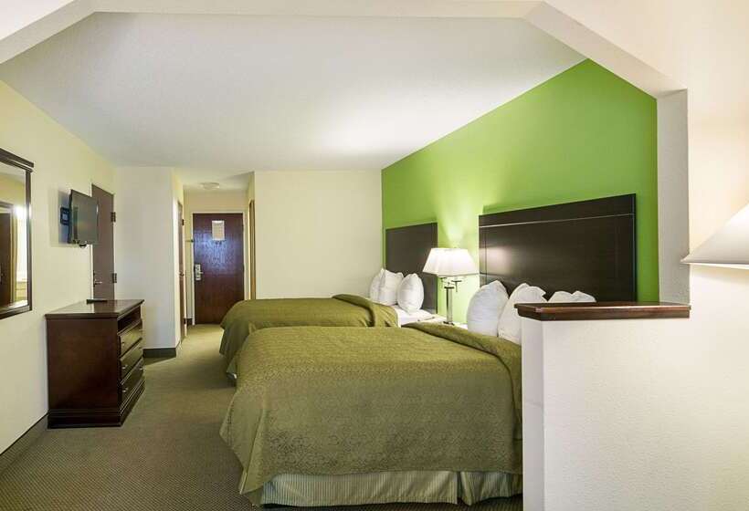 酒店 Quality Inn & Suites Near I 80 And I 294