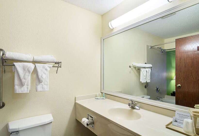 酒店 Quality Inn & Suites Near I 80 And I 294