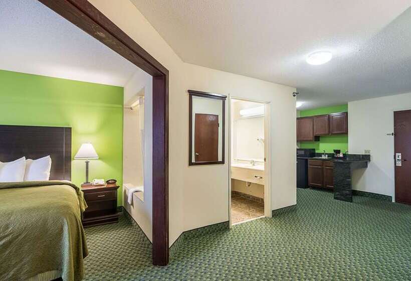 酒店 Quality Inn & Suites Near I 80 And I 294