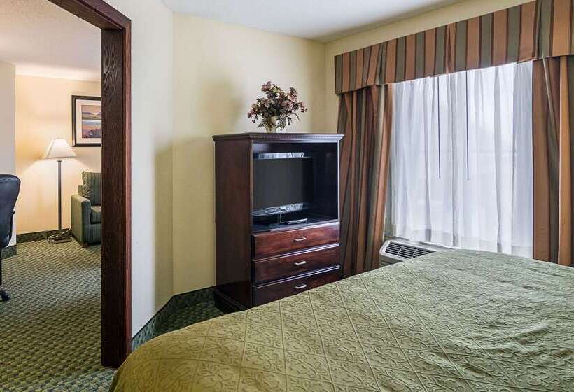 酒店 Quality Inn & Suites Near I 80 And I 294