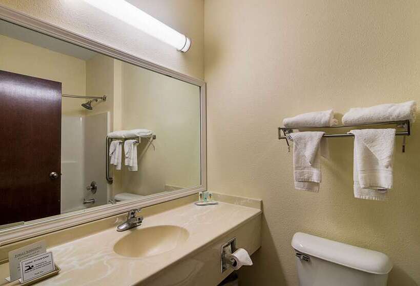 酒店 Quality Inn & Suites Near I 80 And I 294