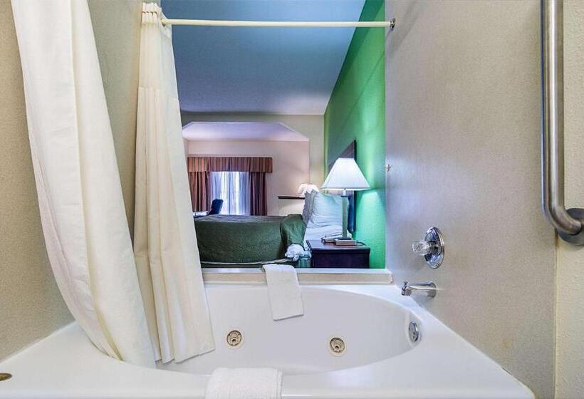 酒店 Quality Inn & Suites Near I 80 And I 294