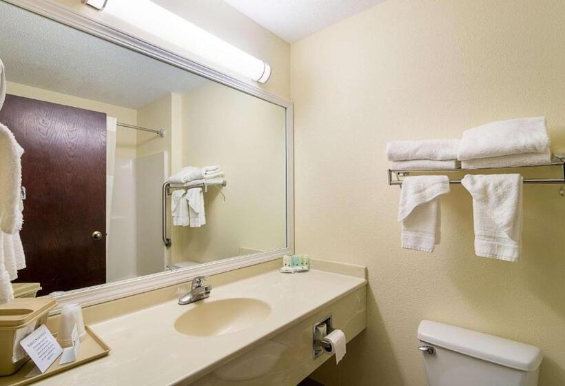 酒店 Quality Inn & Suites Near I 80 And I 294