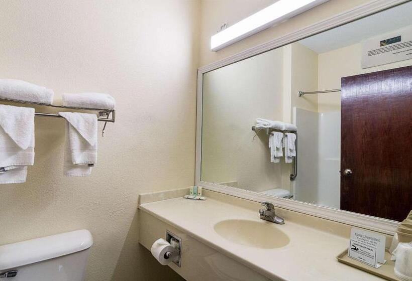 酒店 Quality Inn & Suites Near I 80 And I 294