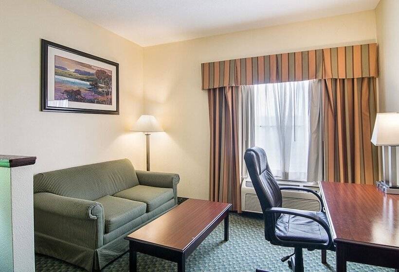 酒店 Quality Inn & Suites Near I 80 And I 294