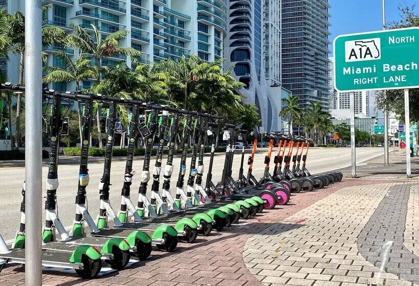 فندق Indigo Miami Brickell By Ihg