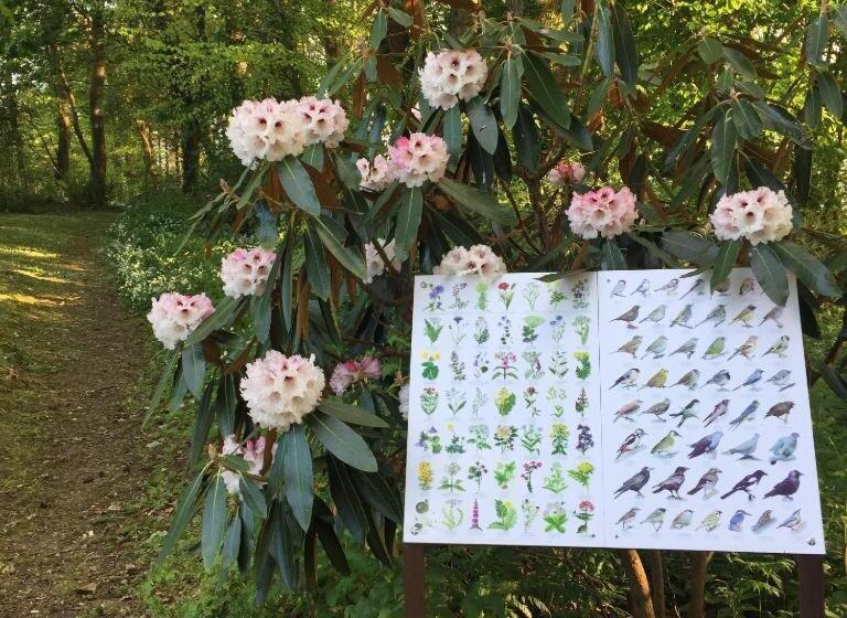 פנסיון Dromard House