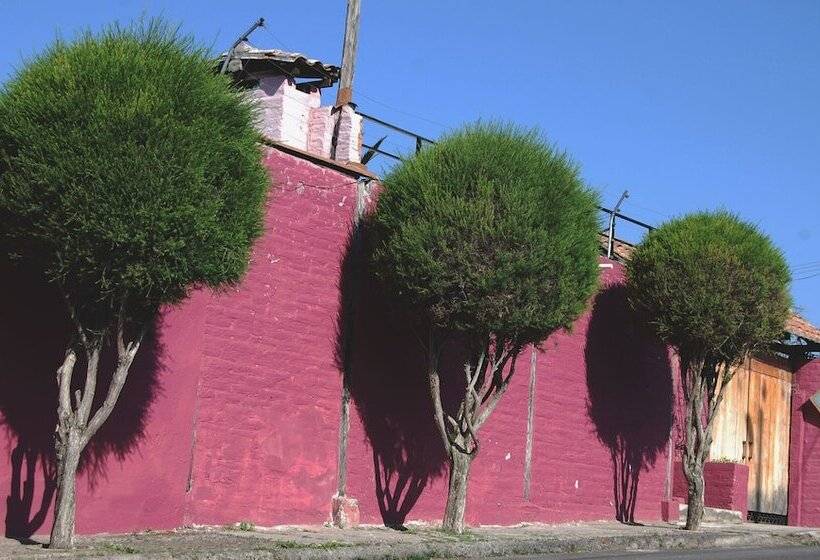 هاستل Venus De Valdivia Aeropuerto