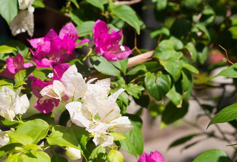 پانسیون Villa Bluemoon