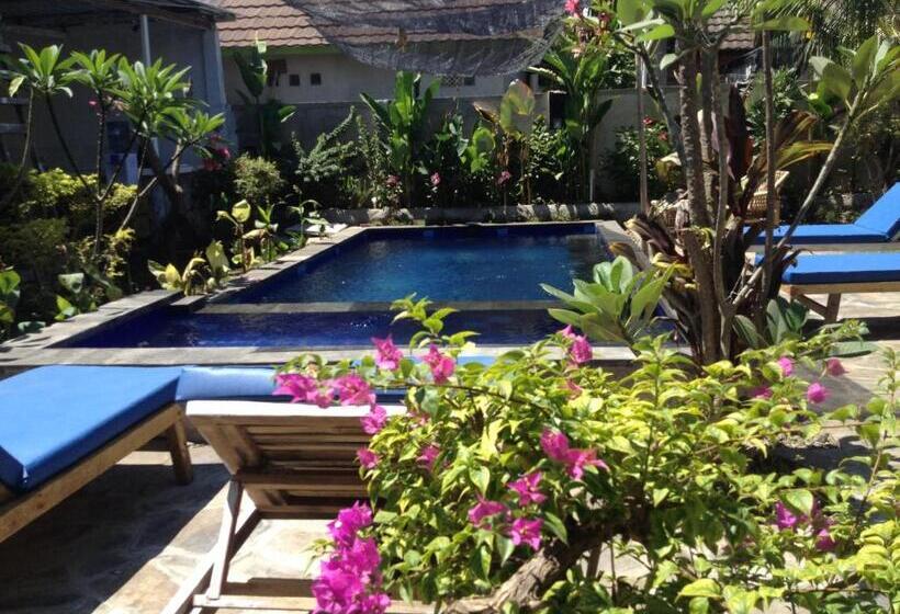 پانسیون Villa Bluemoon