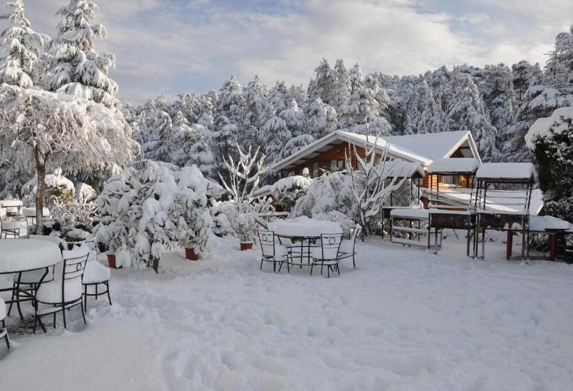 منتجع The Chalets Naldehra