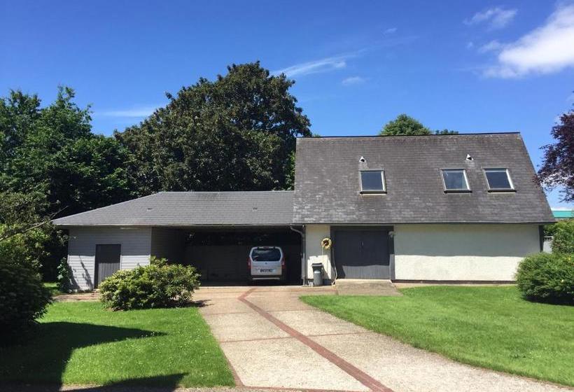 ベッドアンドブレックファースト Chambre D Hotes Le Phenix