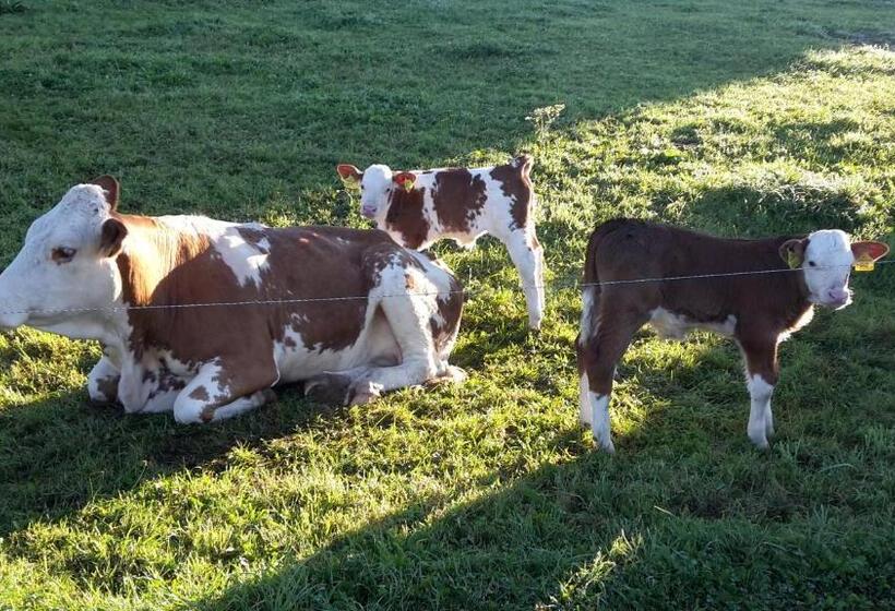 Отель Biohof Gölly