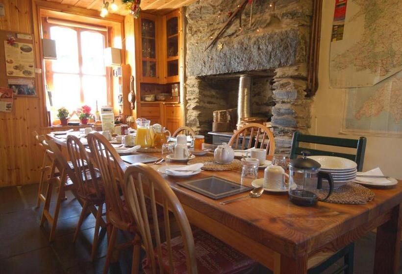 פנסיון Bryn Elltyd Eco House