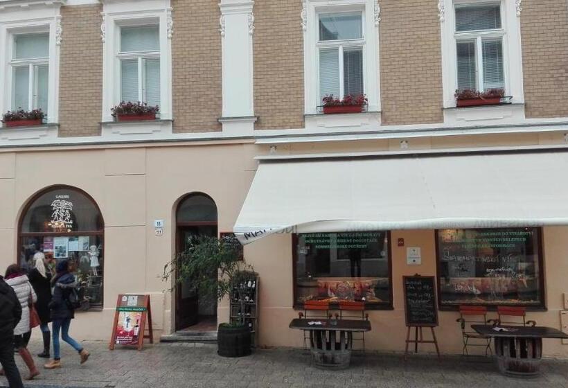 پانسیون Penzion Na Náměstí