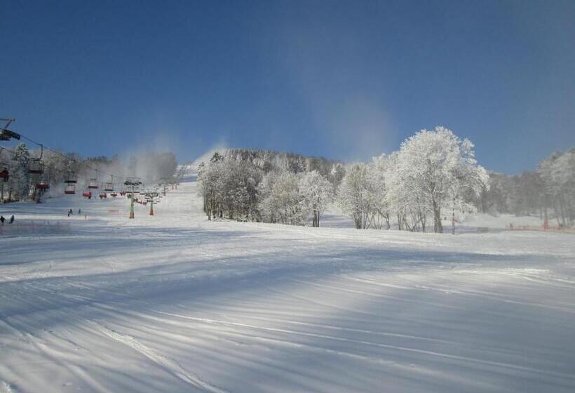 پانسیون Union