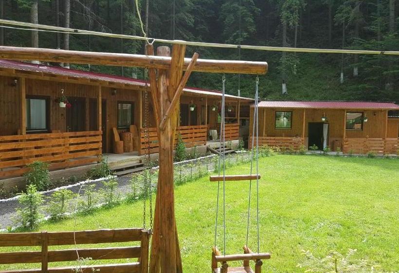 ペンション Casa Vrânceană