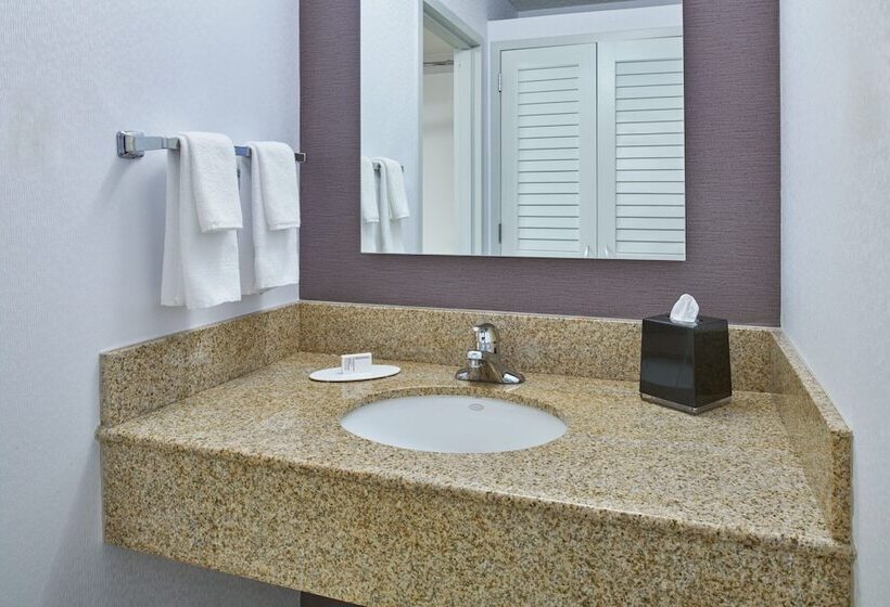 בית מלון כפרי Courtyard By Marriott Detroit Troy