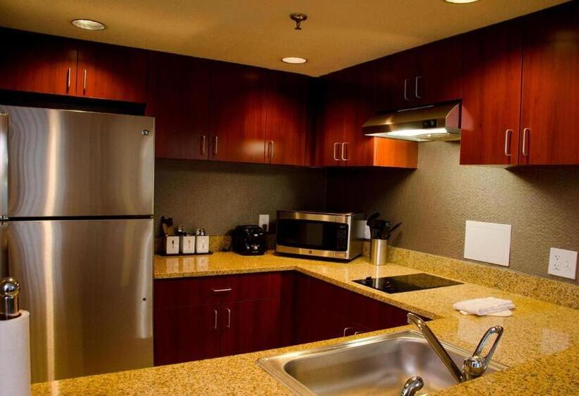 בית מלון כפרי Courtyard Waterbury Downtown