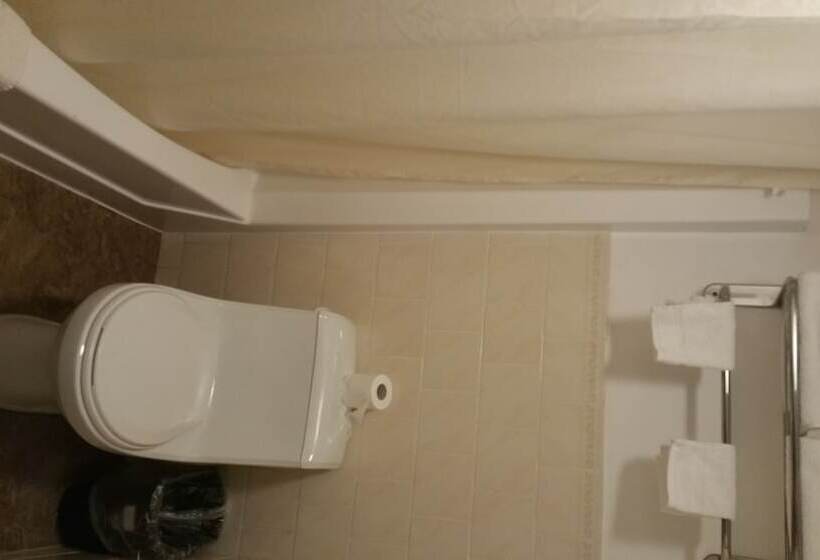 Отель Dartmouth Motor Inn