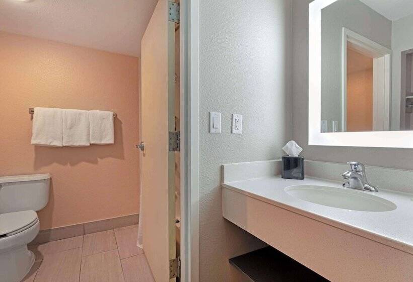 هتل Best Western Plus Fort Worth North