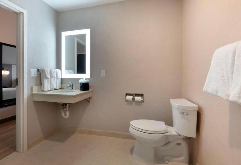 هتل Best Western Plus Fort Worth North