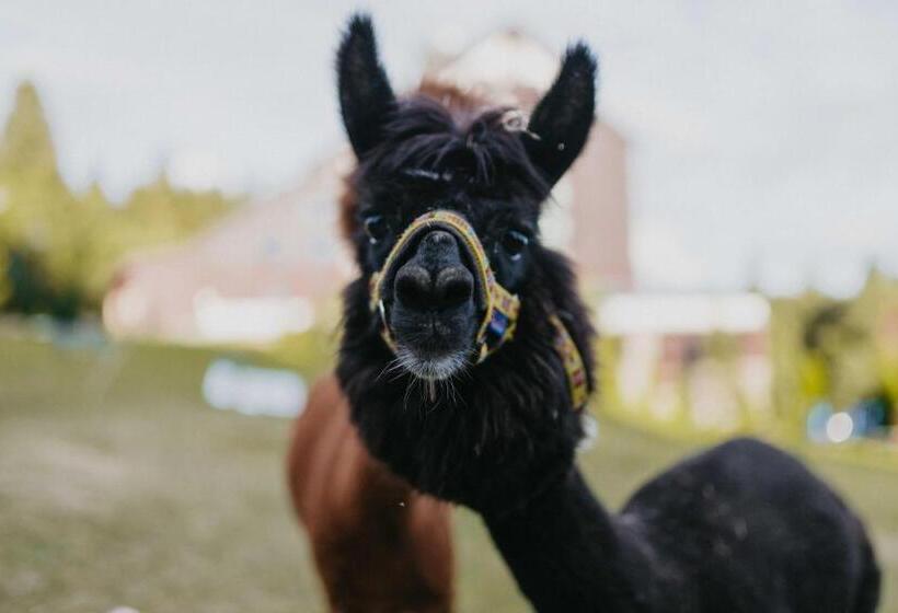 Hotel Orea Resort Horizont šumava