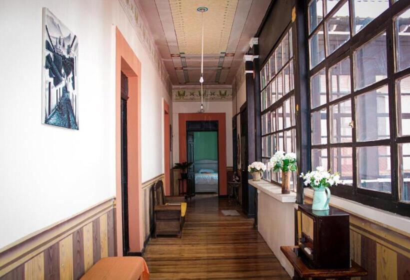 تختخواب و صبحانه Villa Bonita Hostel