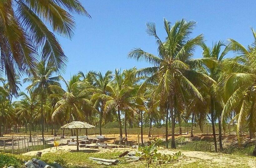 בית מלון כפרי Cabanas Blue