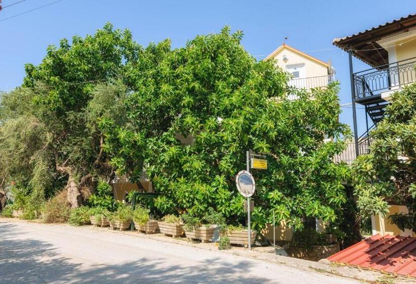 هتل Studio Timotheos