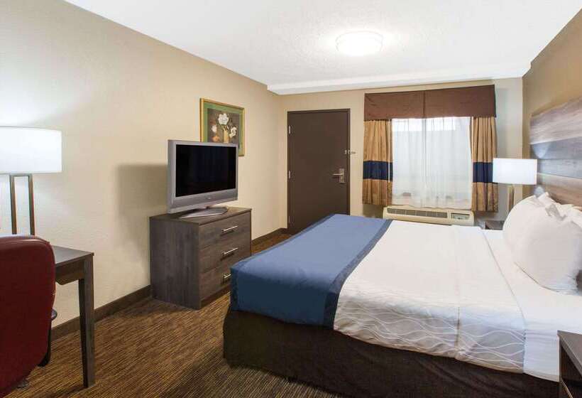 هتل Baymont By Wyndham Downtown Detroit