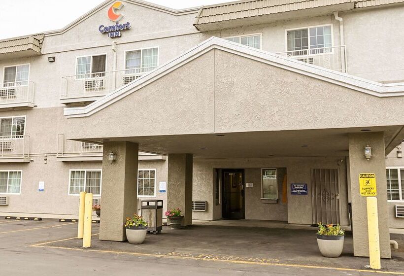 酒店 Comfort Inn Yreka I 5