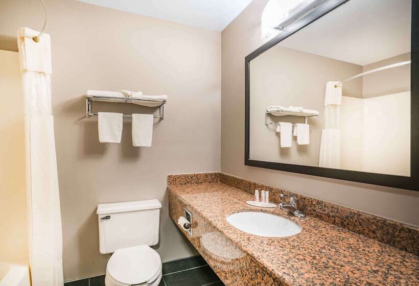 هتل Days Inn & Suites By Wyndham Wausau