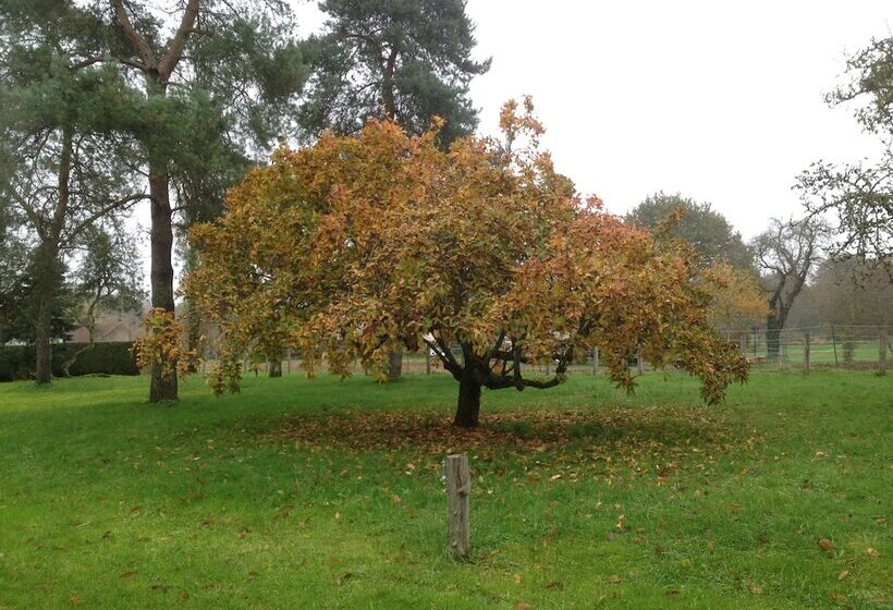 بنسيون Au Coq Des Bois