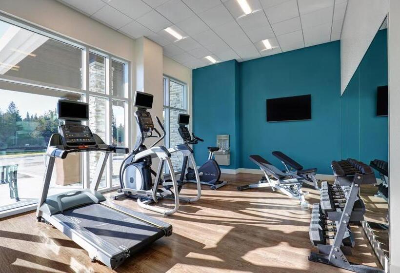 فندق Holiday Inn Express   Kingston West, An Ihg