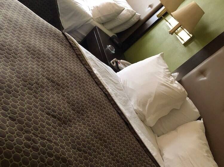 ホテル Econo Lodge Inn & Suites