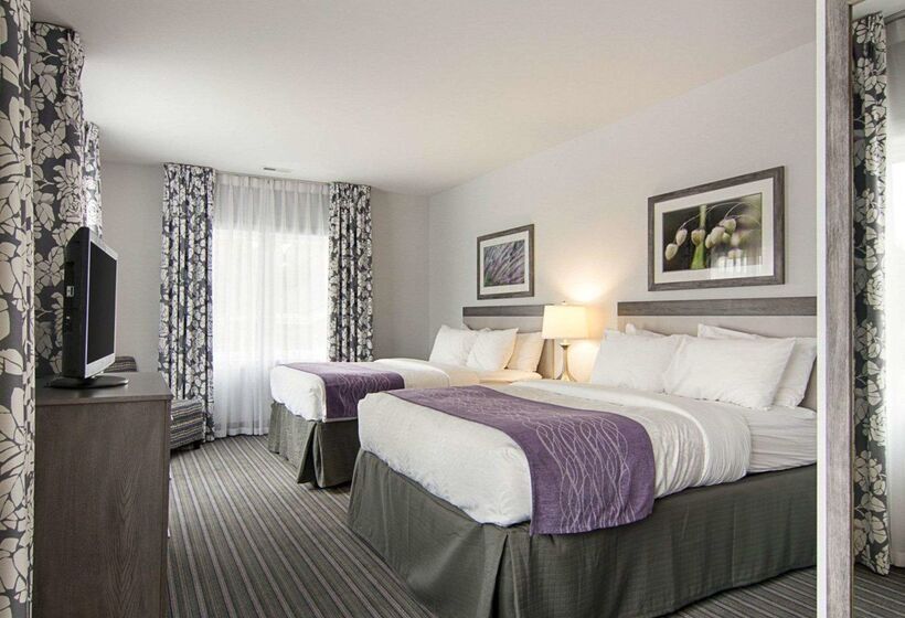 هتل Comfort Inn Williamsburg Gateway