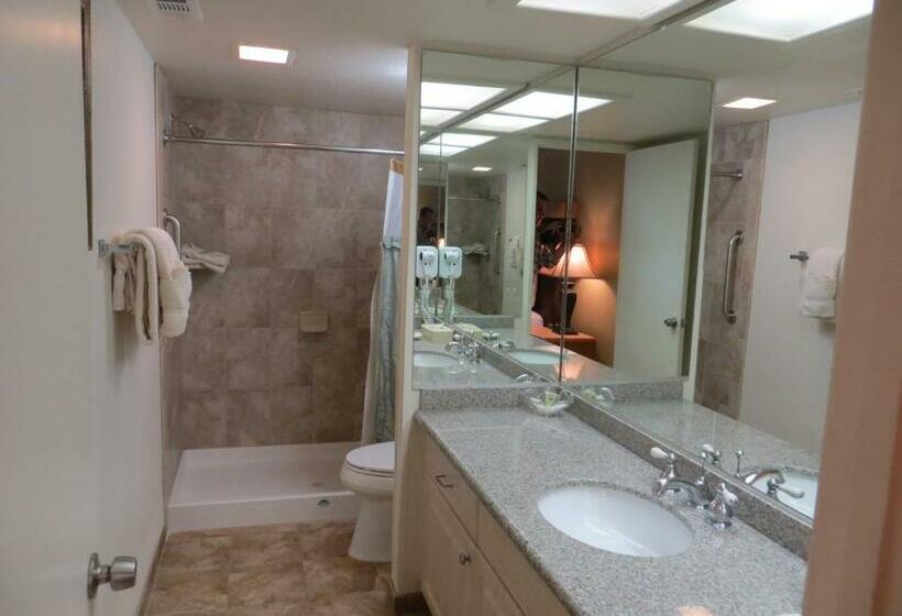 בית מלון כפרי Desert Breezes Resort