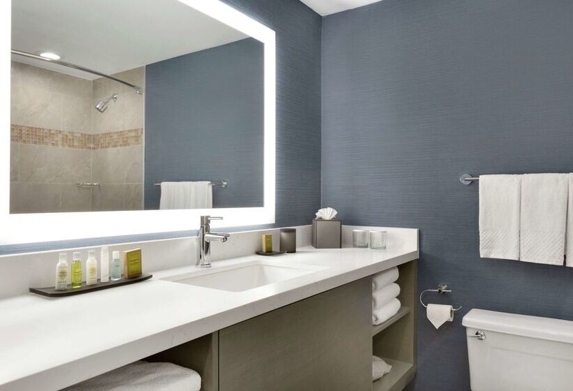 Doubletree Suites By Hilton Hotel Boston   Cambridge