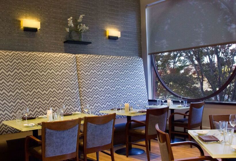 Doubletree Suites By Hilton Hotel Boston   Cambridge
