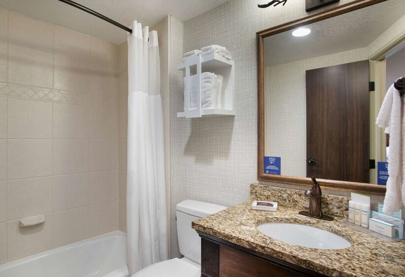 בית מלון כפרי Hampton Inn Jackson Hole