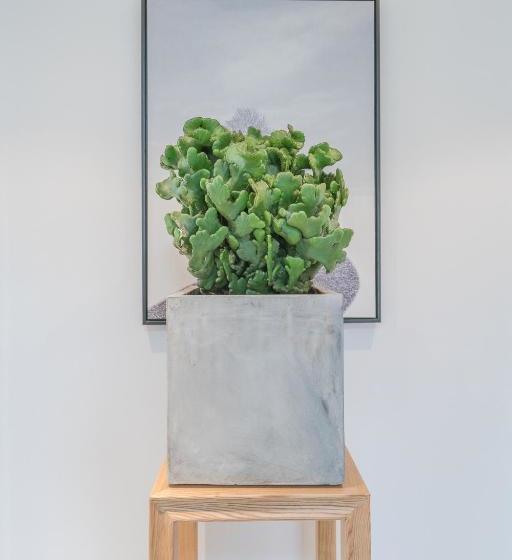 بنسيون Hangzhou Persimmon Tree Guesthouse