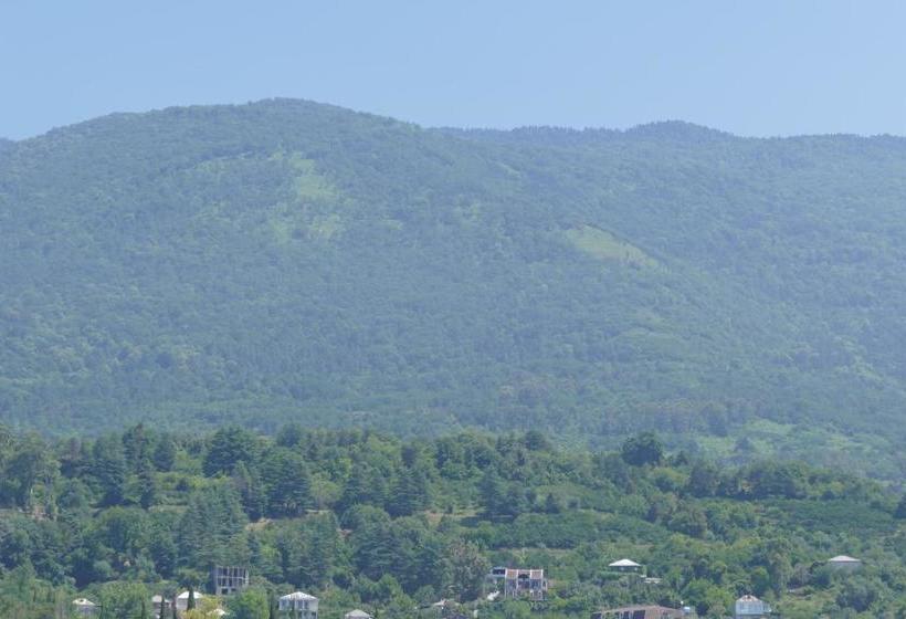 هاستل Mini Hotel Gagra Camping