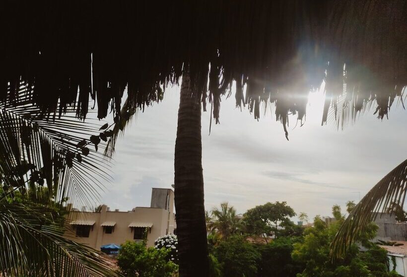 هتل Pousada Tropical Brasil