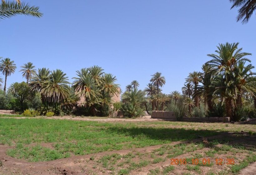 پانسیون Gite Kasbah La Palmeraie