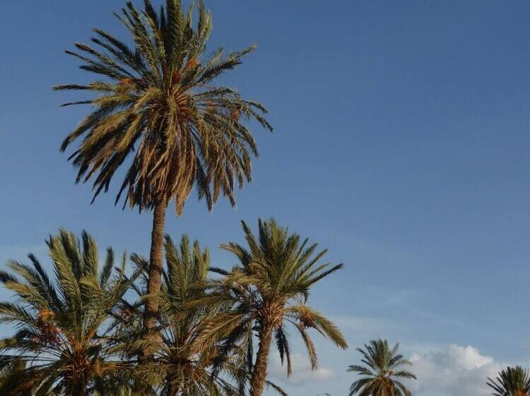 پانسیون Gite Kasbah La Palmeraie