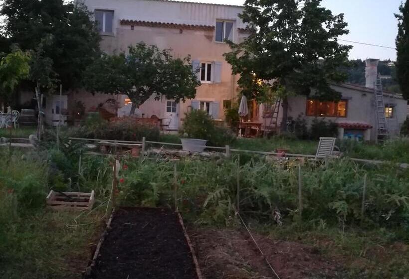 بنسيون La Ferme Constantin