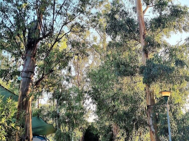 هتل Camping La Naranja