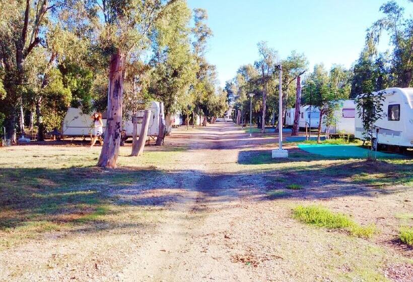 هتل Camping La Naranja